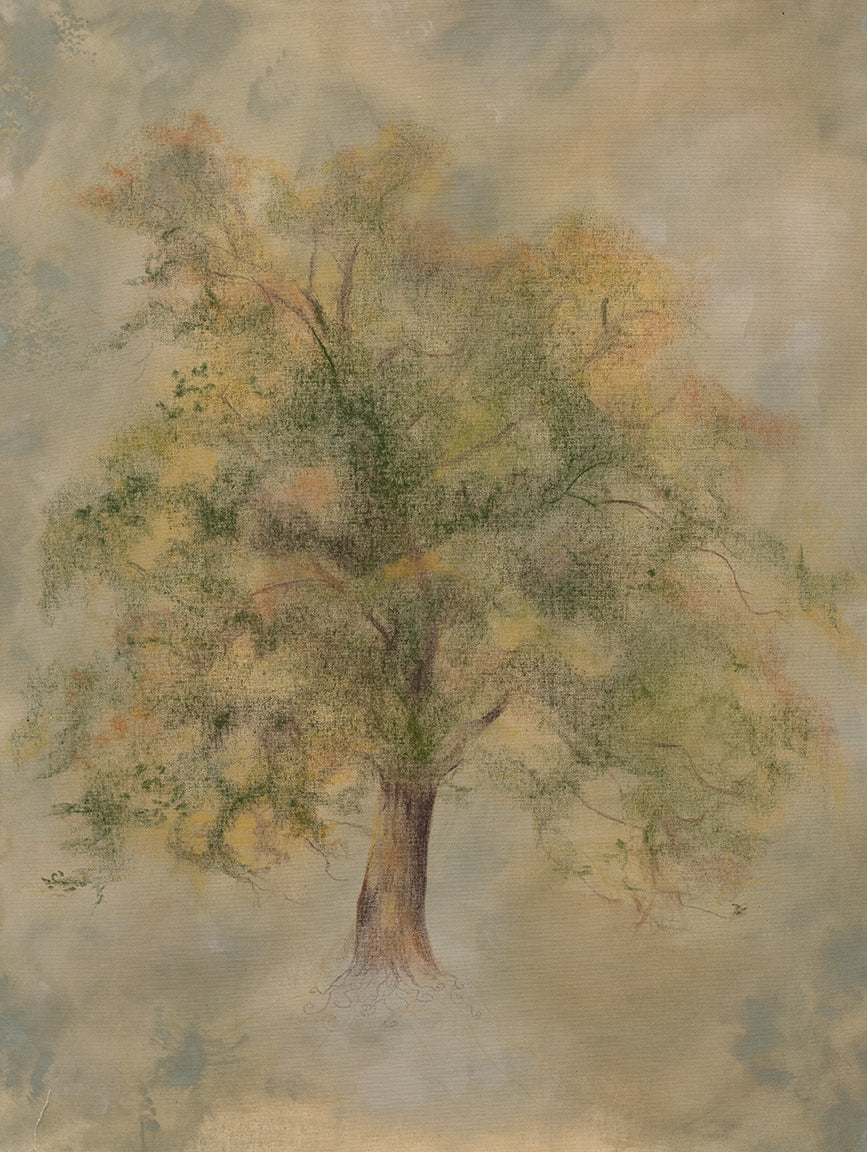 Rooted in Dream