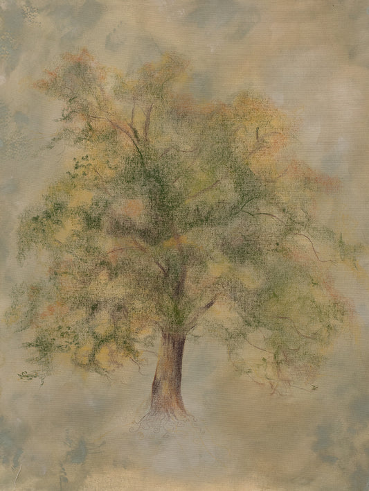 Rooted in Dream
